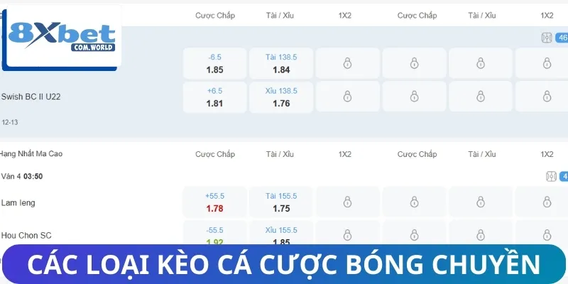 Cá Cược Bóng Chuyền: Xu Hướng Giải Trí Thời Thượng 2025 2 Tổng hợp các kèo cược bóng chuyền phổ biến hiện nay
